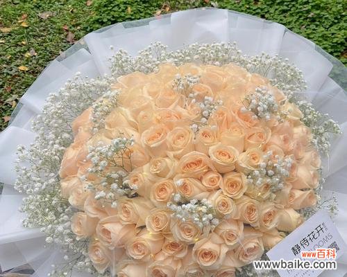 从温柔浪漫到珍贵独特，透视香槟色玫瑰的深意 香槟色玫瑰的花语象征与寓意