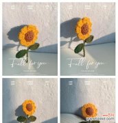 背心钩织花语是什么意思啊？钩织作品中的花语如何表达？