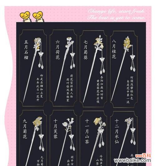 代表友谊发簪的花语是什么？它传递了怎样的信息？