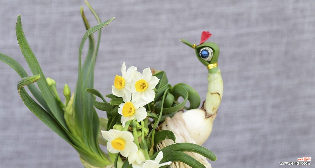 哪种花语代表自信大胆的人？它传递了怎样的信息？