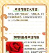 破碎玫瑰花语有何特别含义？