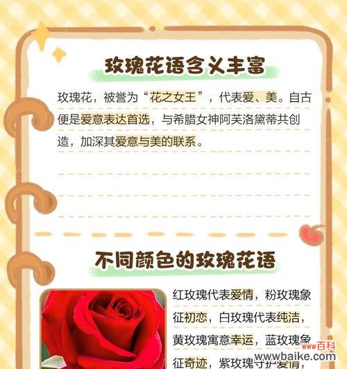 破碎玫瑰花语有何特别含义?