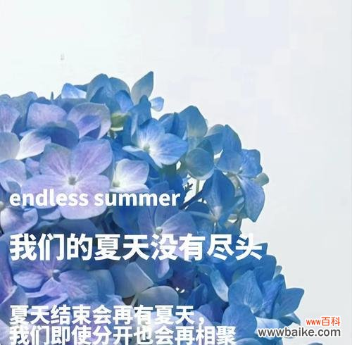 什么花的花语代表屈服的意思?哪种花象征着顺从?