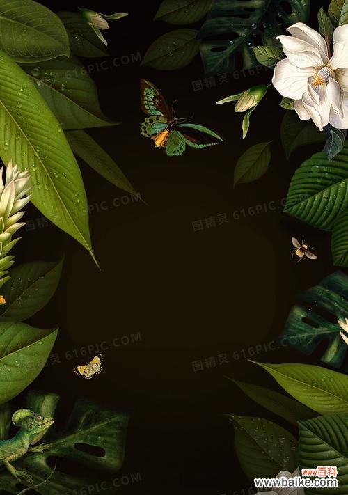 探寻香水草的意义与传承 香水草的花语与文化背景