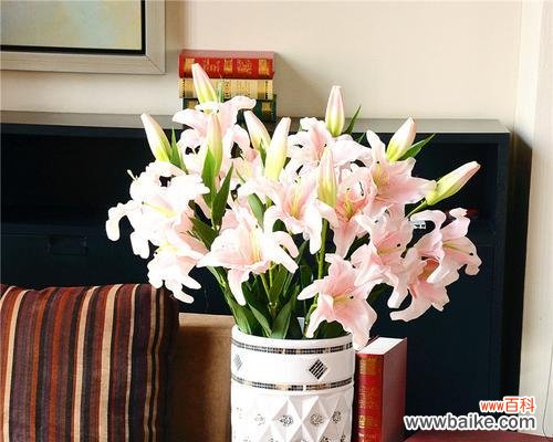 探寻百合花的含义与象征 香水百合花语之美