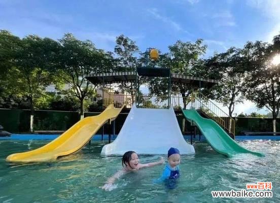 游泳一千米的花语是什么?花语中传递的信息是什么?