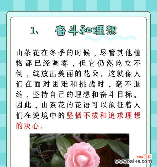茶花的花语代表什么？它在文化中扮演什么角色？