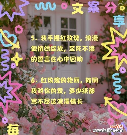 情人节红玫瑰的浪漫花语是什么？红玫瑰代表了什么爱情？