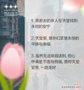 送给天堂亲人的花花语是什么？如何表达对逝去亲人的思念？