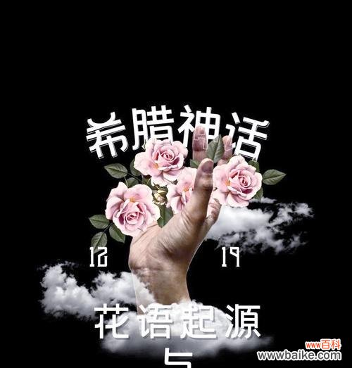 人尽皆知的爱花语是什么？这种花语代表了哪种情感？