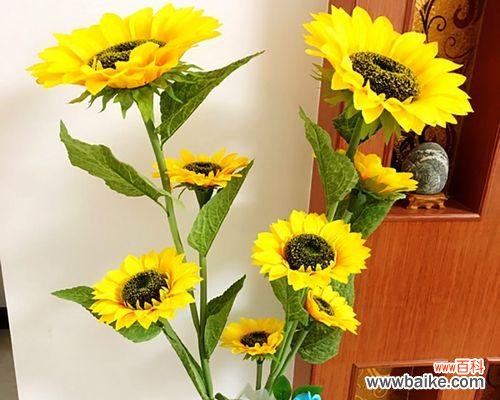 向日葵花的美丽与勇敢-阳光与希望的象征 向日葵花的象征意义及文化内涵