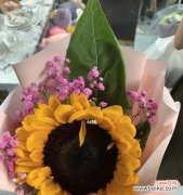 阳光与希望的象征——向日葵的美丽之谜 向日葵的花语及其寓意