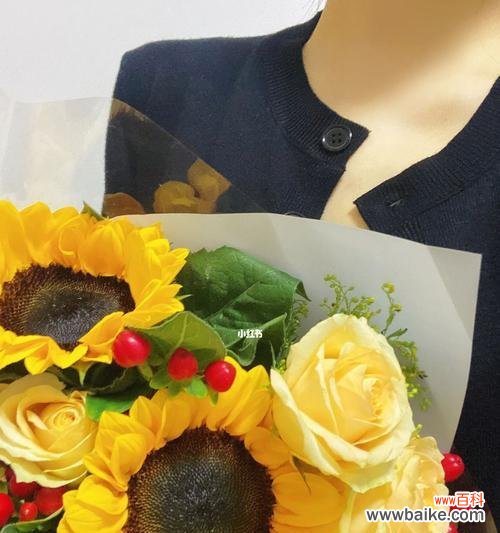 热爱生命的真情告白 向日葵花语的真正含义——传达阳光和温暖的忠实