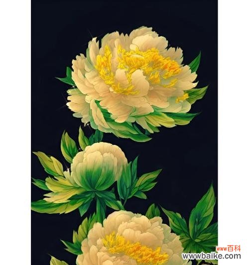 国色天香的花语是什么?它如何体现花卉的美丽?