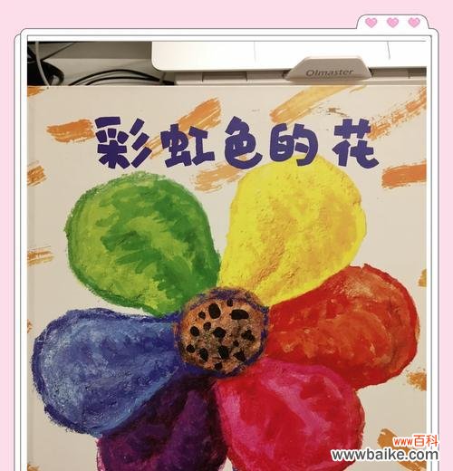 彩虹奶油的花语能传达哪些情感？