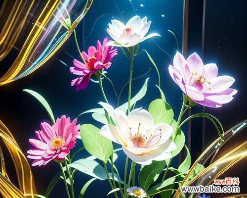 发光的花花语是什么？发光的花代表什么寓意？