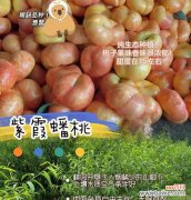 蟠桃的花语意思和寓意是什么？蟠桃的象征意义是什么？