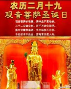 菩萨玫瑰传递了哪些祝福？