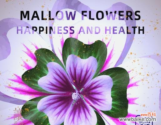 别出心裁的礼物花语是什么？创意礼物背后隐藏的花语是什么？