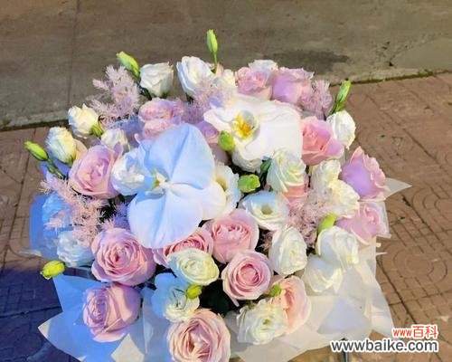 别出心裁的礼物花语是什么？创意礼物背后隐藏的花语是什么？