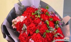 延胡索——耐寒之花与神奇的传说 延胡索的花语与传说