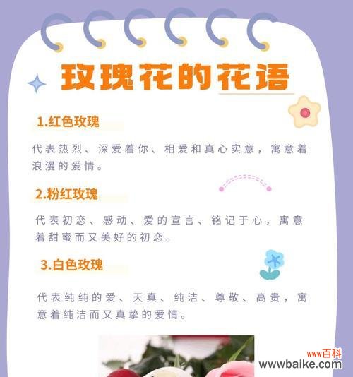 钩针玫瑰有何寓意？花语包含哪些？