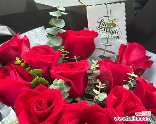 见面时送玫瑰花代表什么?玫瑰花作为见面礼物的意义是什么?