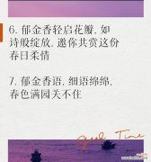 如何用花语正确表白女孩？哪种花语最合适？