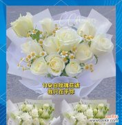 白玫瑰蓝星草的花语有何深意？它象征着什么？