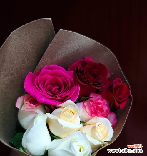 白玫瑰蓝星草的花语有何深意？它象征着什么？