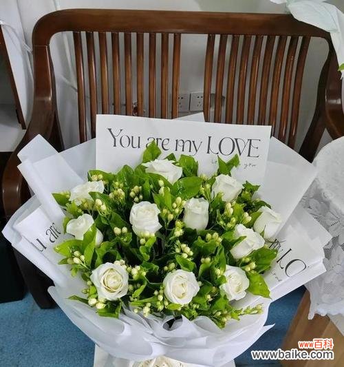 白灰玫瑰的花语和寓意是什么?它们象征着什么?