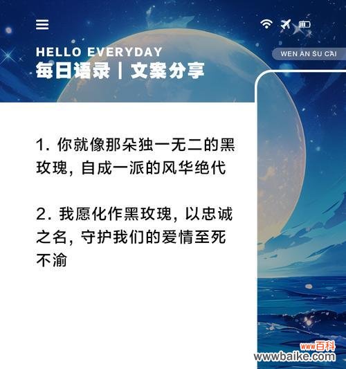 黑玫瑰的花语包含哪些情感?