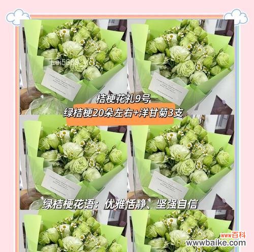 桔梗花的花语是什么?它与玫瑰有何不同?