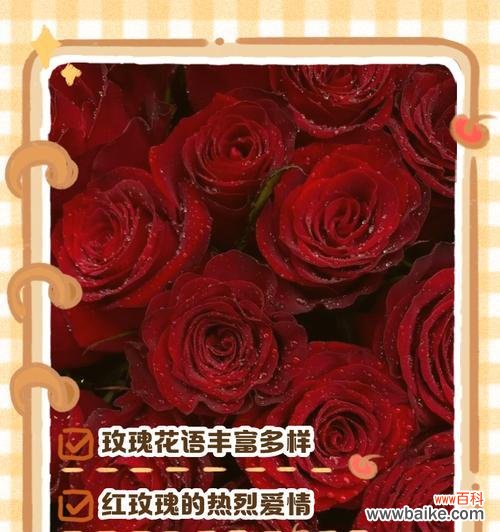 送对象的金色玫瑰花代表什么?金色玫瑰花的花语有何不同?