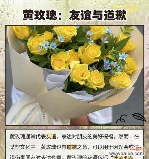 送对象的金色玫瑰花代表什么?金色玫瑰花的花语有何不同?