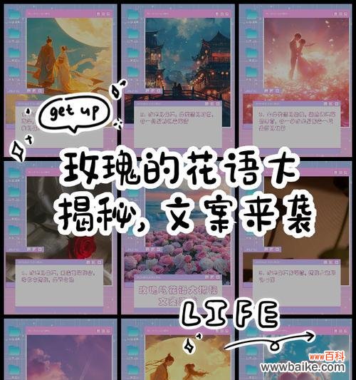 我爱我自己代表什么花语？花语背后的意义是什么？