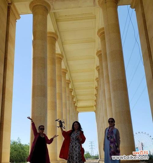 琳儿的宝贝花语有何寓意?琳儿的宝贝象征着什么?