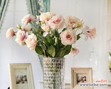 洋桔梗花语的深刻含义与象征 洋桔梗的花语和寓意