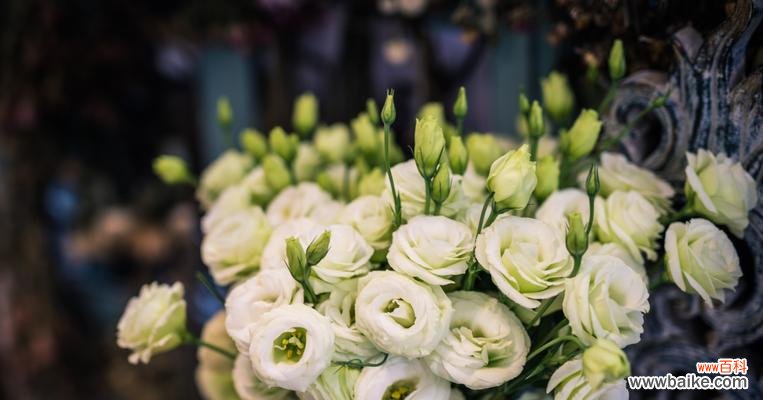 洋桔梗花语揭示的坚定爱情信念 洋桔梗花语