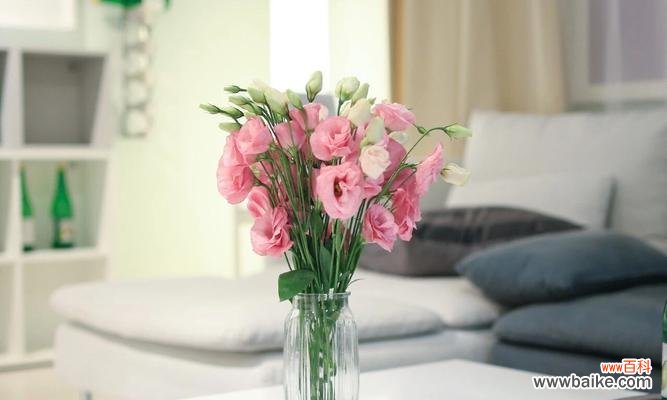 洋桔梗花语揭示的坚定爱情信念 洋桔梗花语