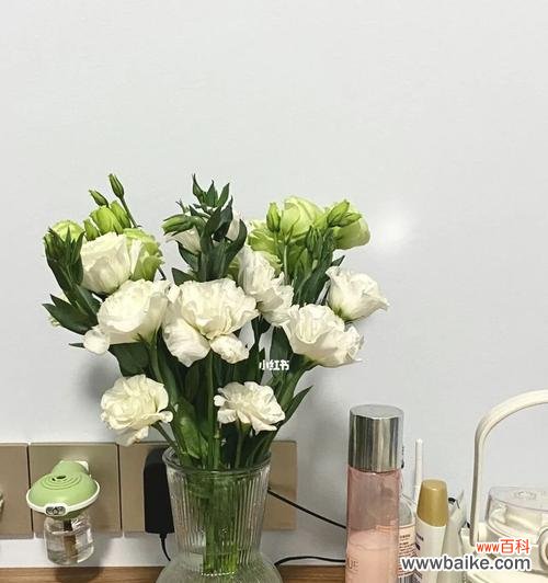 探寻洋桔梗的神秘花语及其深刻寓意 洋桔梗的花语与寓意