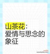 哪种花代表思念？它的花语是什么？
