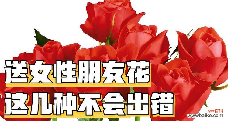夫妻间祝福的花语有哪些选择？