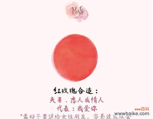 泥里的红玫瑰代表什么含义？