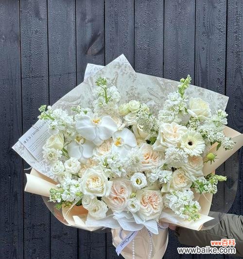 女神节送白玫瑰代表什么含义？