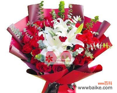 大红色玫瑰花的花语是什么？红色玫瑰代表了哪些情感？