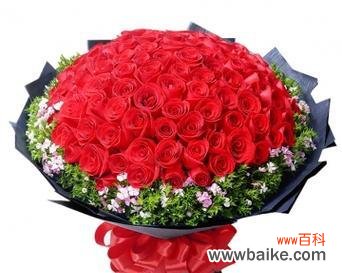 大红色玫瑰花的花语是什么？红色玫瑰代表了哪些情感？