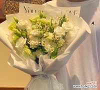 白洋梗的花语有何含义？