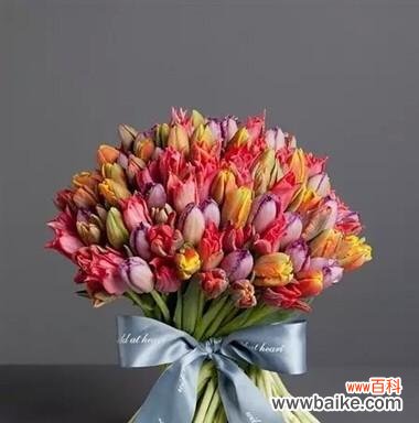 用郁金香花语传递贞操的内涵与价值 以野生郁金香花语贞操为主题的文章