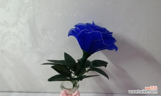 探寻蓝色妖姬的及象征意义 一朵蓝色妖姬的意义及象征